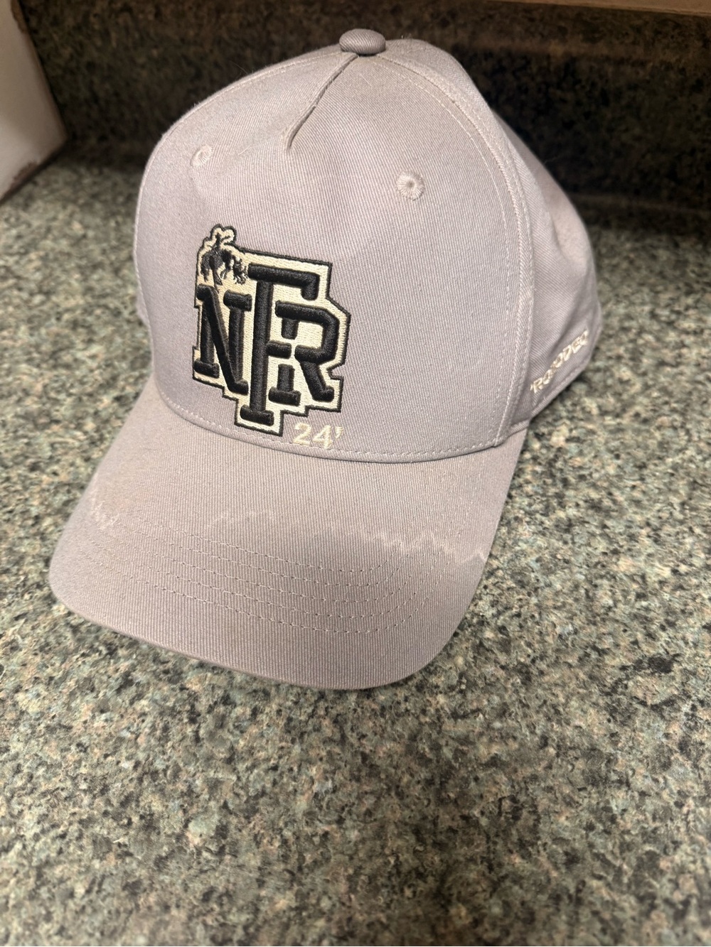 NR Embroidered Logo Baseball Cap - Light Gray